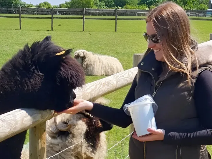 Alpaca Your Picnic 9