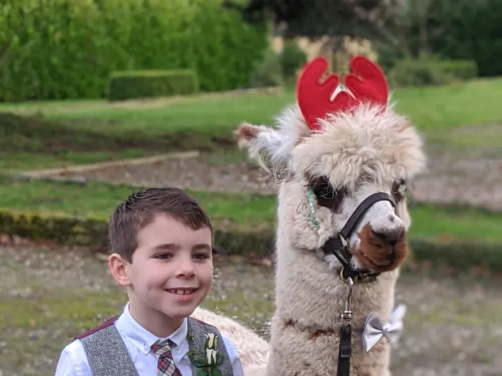 Boy With Alpaca