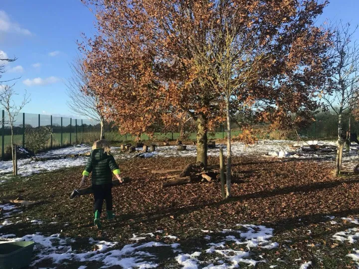 Forest school