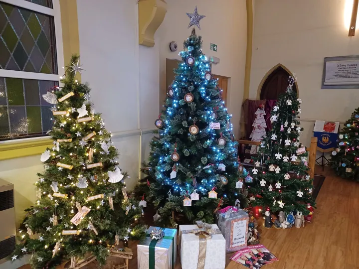 Christmas trees at Hasland