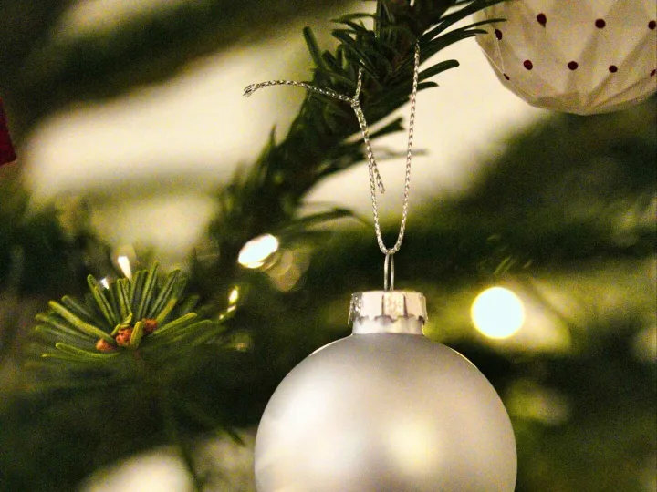 Silver bauble (resized)