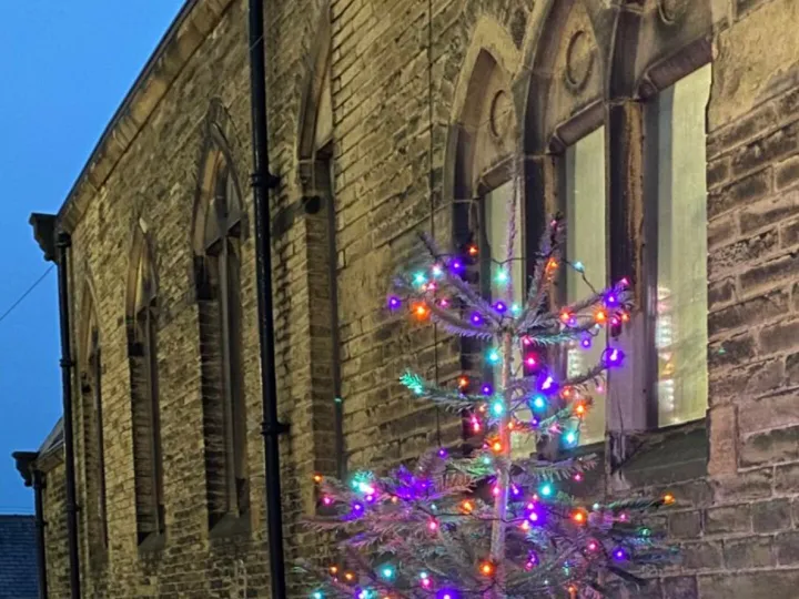 Tree Lightlng 5