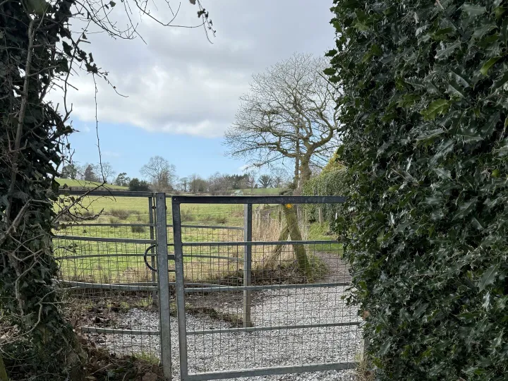 whirley footpath 2