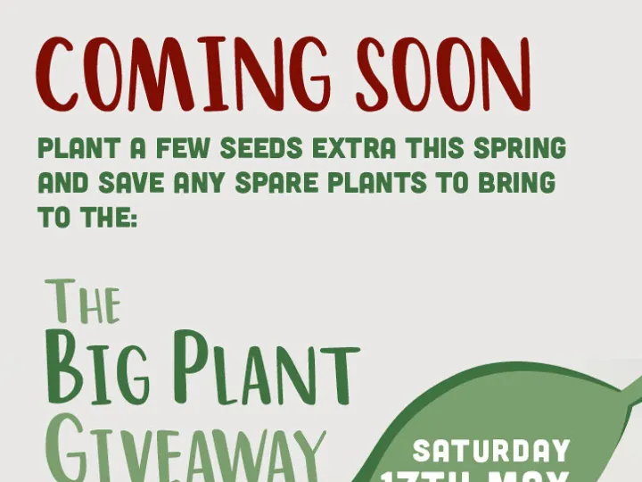 Big Plant Giveaway 2025 Coming Soon