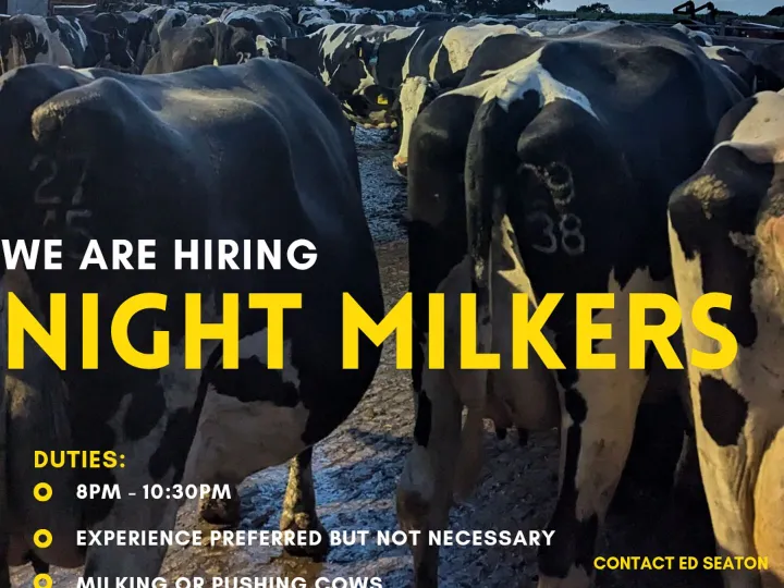 Black and Yellow Full Photo Job Vacancy Instagram