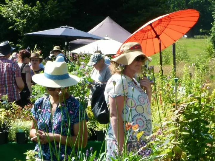 Plant Fair