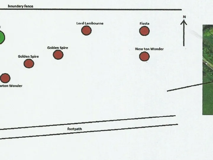 Tarvin Woodland Apple Orchard