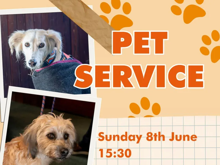 Pet Service, Walton June 2025