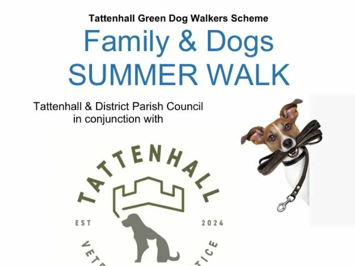 Dog Walk