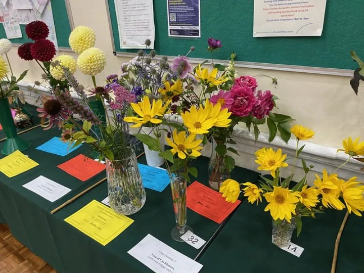 Some of The Flower Exhibits