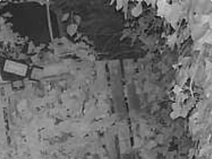 Otter 2