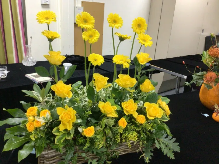 Tarvin Online – Img_0553