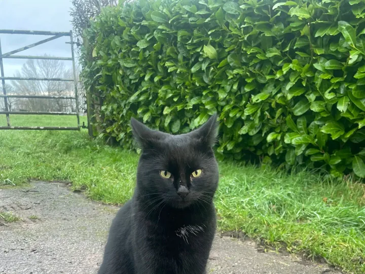 084a9c29-Cc0f-44b4-957d-5e206941b742