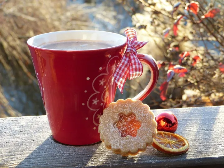 Cup, red, cookie, coffee cup, hoarfrost, wintry