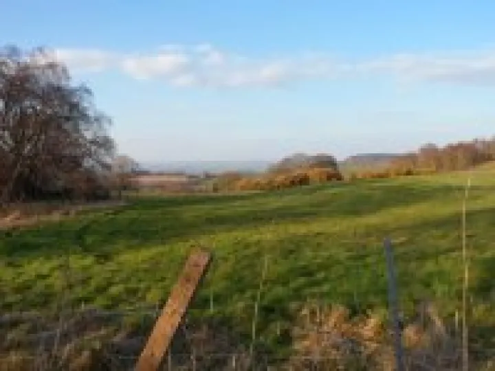 Pheasant Inn walk 2015