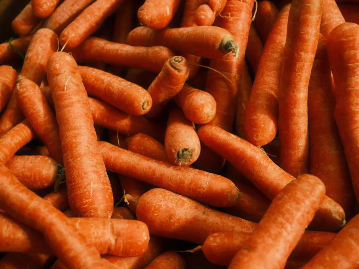 Vibrant close-up shot of fresh orange carrots