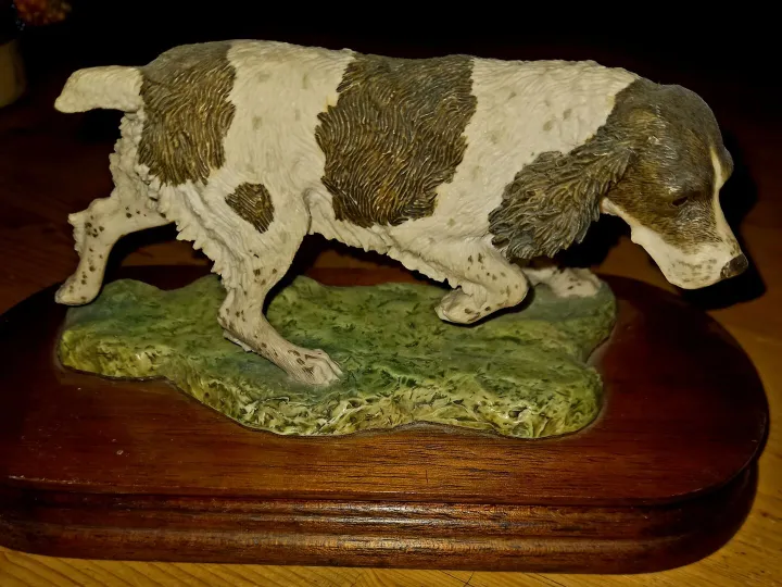 Liver and White Springer Spaniel in Walking Mode