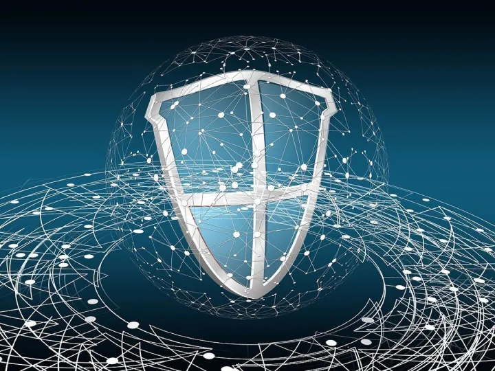 Security, professional, secret, security service, 